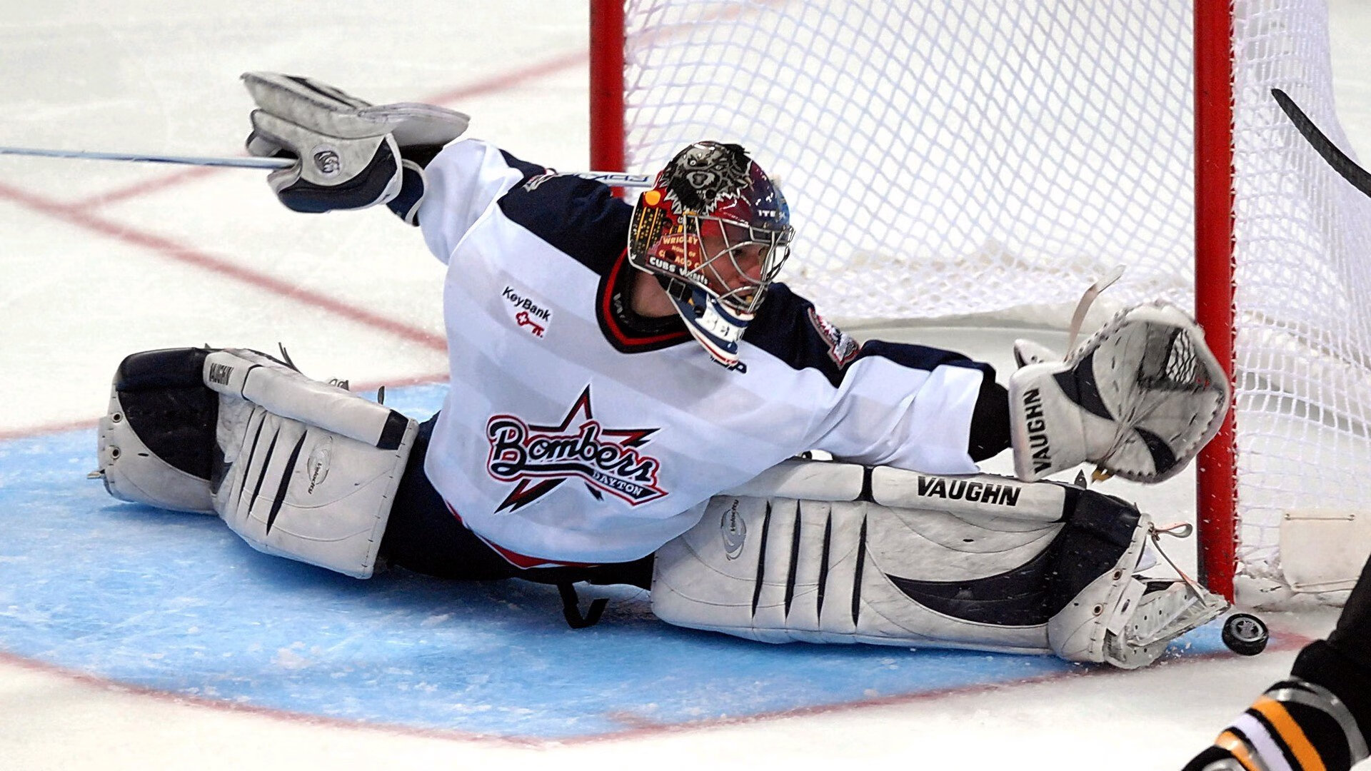 蒂姆迎来十二赛季出色发挥,加拿大队观众热烈欢呼!观众掌声雷动